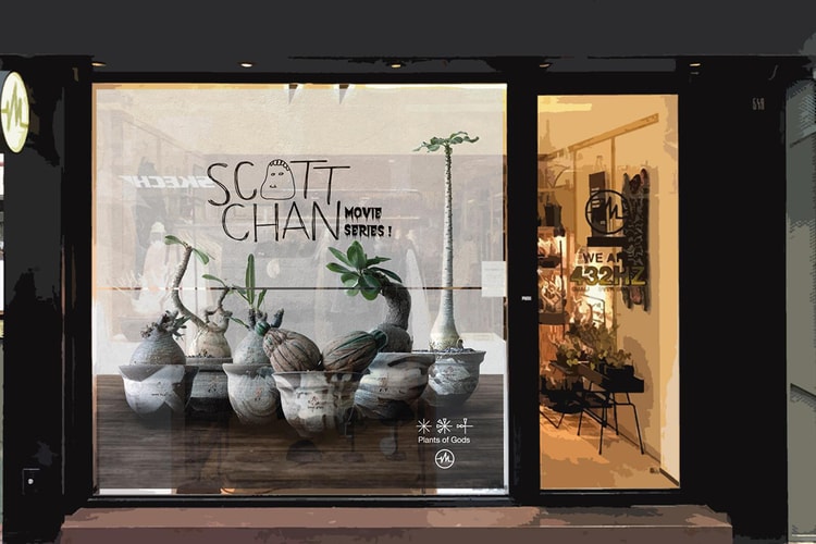 Plants of Gods x Scott Chan 塊根植物期間限定活動即將開催