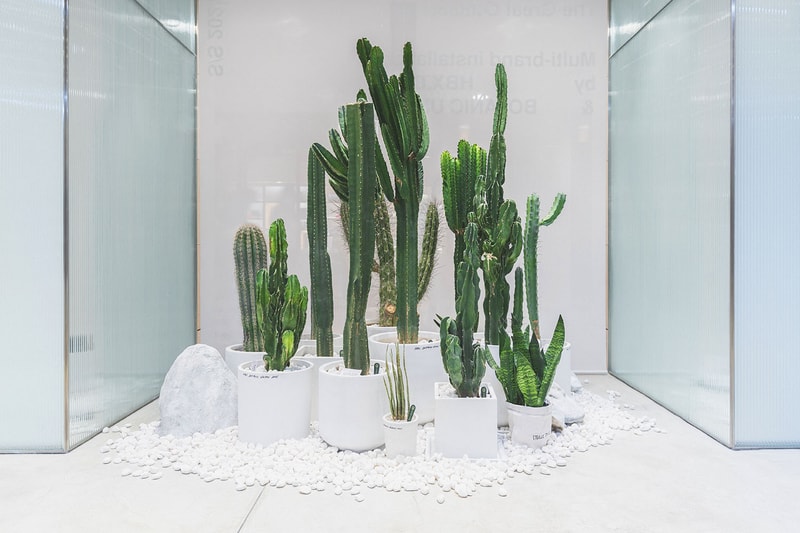 HBX 攜手 Botanic Union 打造最新 Pop-Up 期間限定店鋪