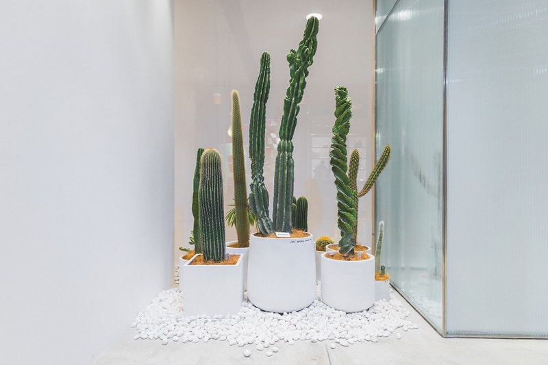 HBX 攜手 Botanic Union 打造最新 Pop-Up 期間限定店鋪
