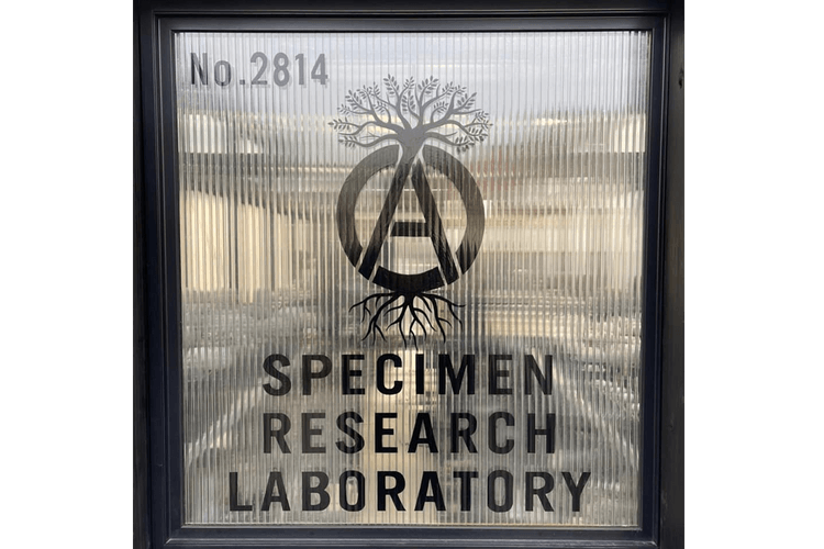 NBHD 植物支線品牌 SPECIMEN RESEARCH LABORATORY 即將登陸 INVINCIBLE?