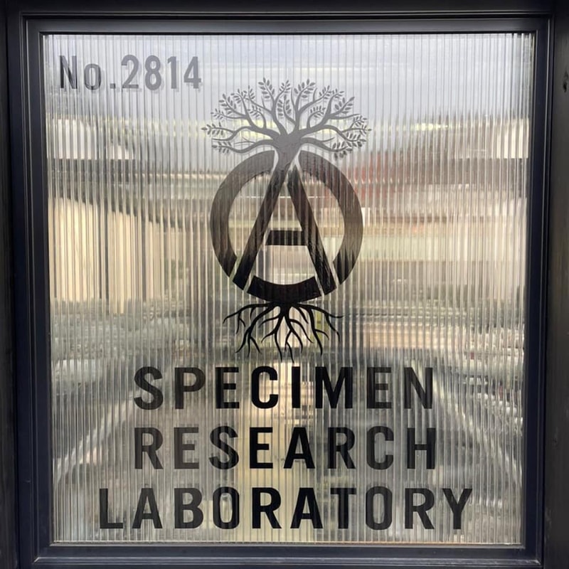 NBHD 植物支線品牌 SPECIMEN RESEARCH LABORATORY 即將登陸 INVINCIBLE？