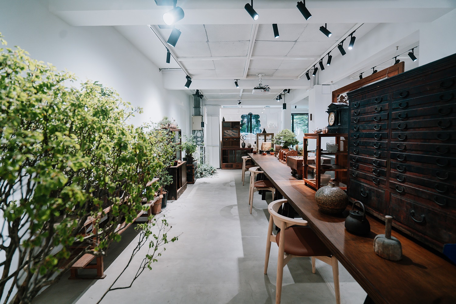 森³ sunsun-museum 打造最新日系植物/古物市集：日日森 Nichinichi Mori