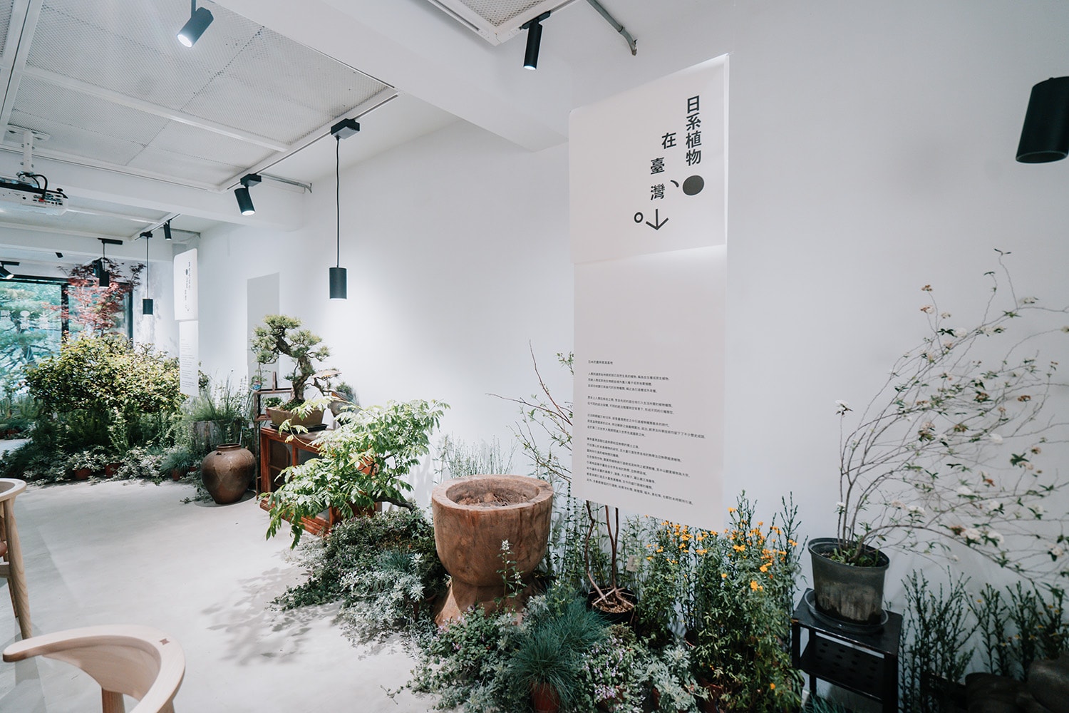 森³ sunsun-museum 打造最新日系植物/古物市集：日日森 Nichinichi Mori