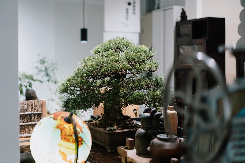 森³ sunsun-museum 打造最新日系植物/古物市集：日日森 Nichinichi Mori
