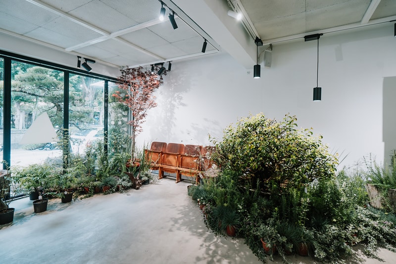 森³ sunsun-museum 打造最新日系植物/古物市集：日日森 Nichinichi Mori