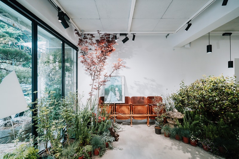 森³ sunsun-museum 打造最新日系植物/古物市集：日日森 Nichinichi Mori