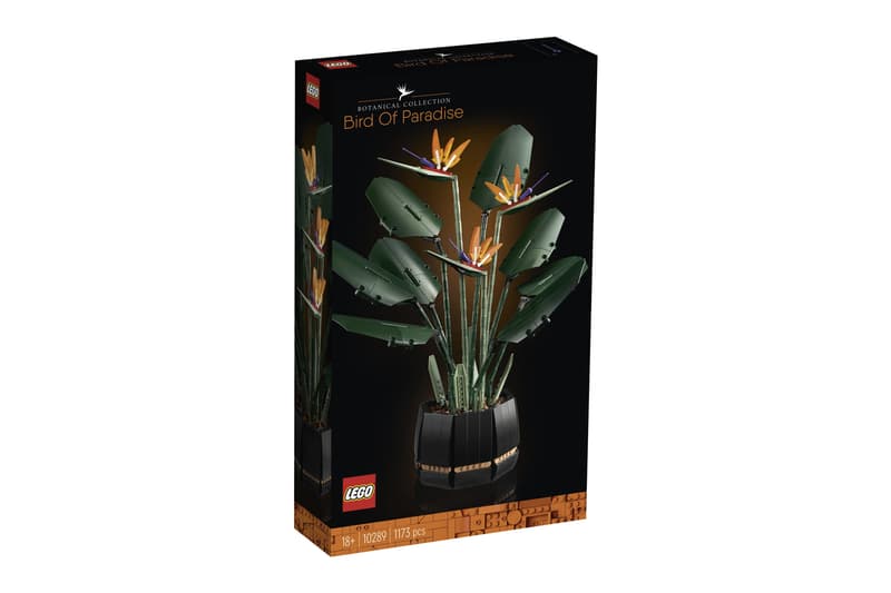 LEGO 全新花卉植栽系列「天堂鳥 Birds of Paradise」正式登場