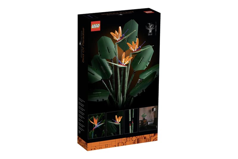 LEGO 全新花卉植栽系列「天堂鳥 Birds of Paradise」正式登場