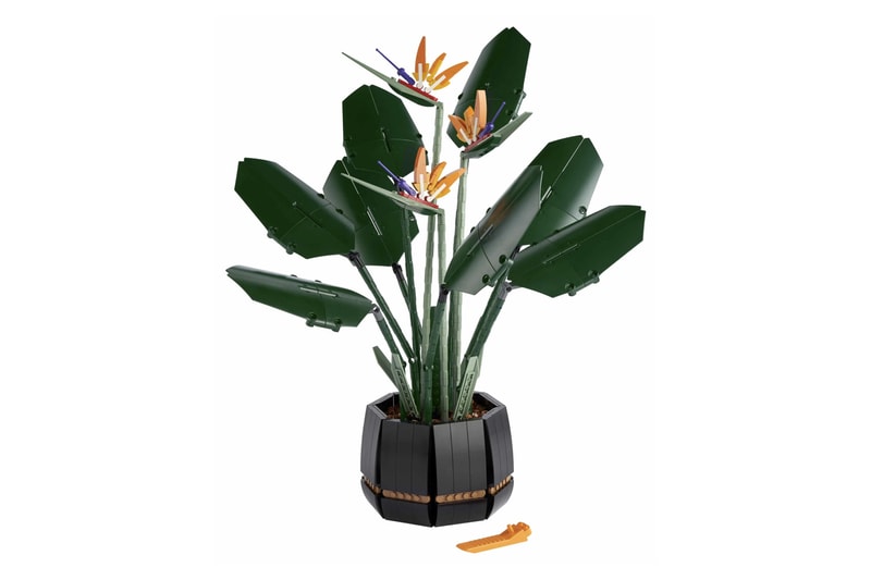 LEGO 全新花卉植栽系列「天堂鳥 Birds of Paradise」正式登場