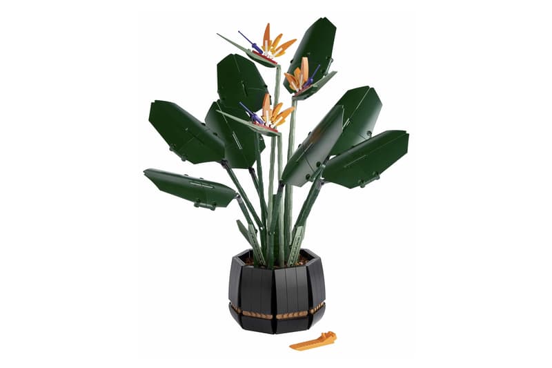 LEGO 全新花卉植栽系列「天堂鳥 Birds of Paradise」正式登場