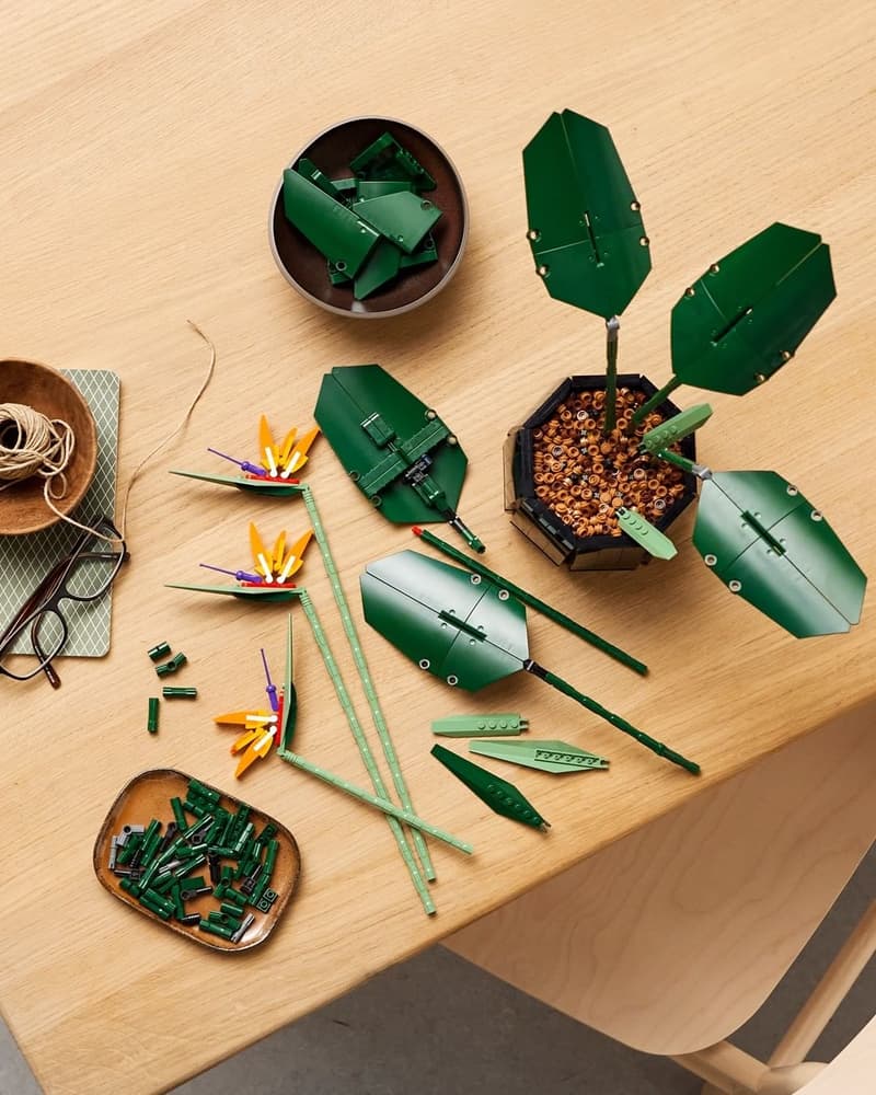 LEGO 全新花卉植栽系列「天堂鳥 Birds of Paradise」正式登場