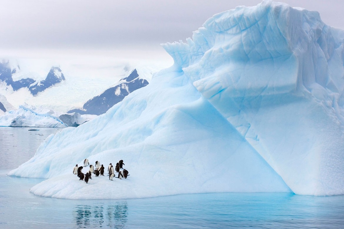 報告顯示南極創紀錄衝破高溫 18 攝氏度