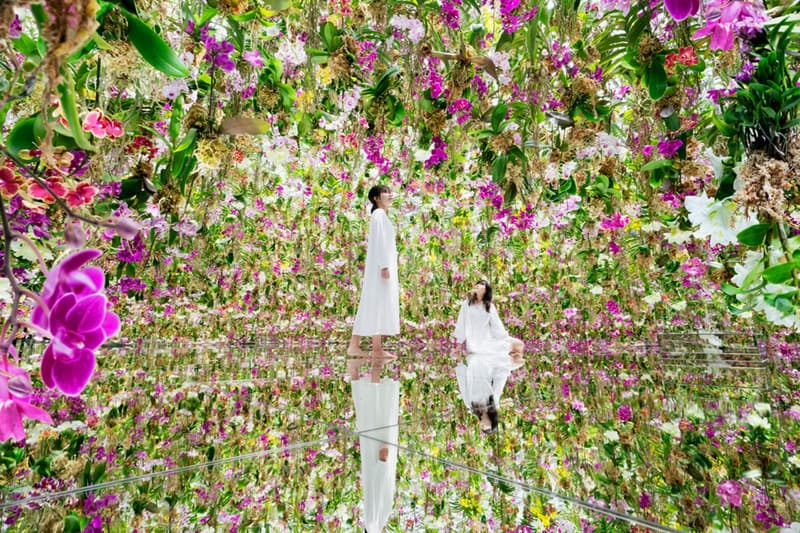 teamLab 全新「Garden Area」永久裝置藝術作品正式開催