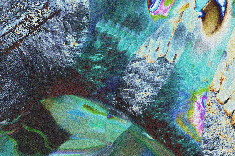 獨家專訪 Capsule Vault「Wasted Wild 荒野」NFT 項目與合作藝術家