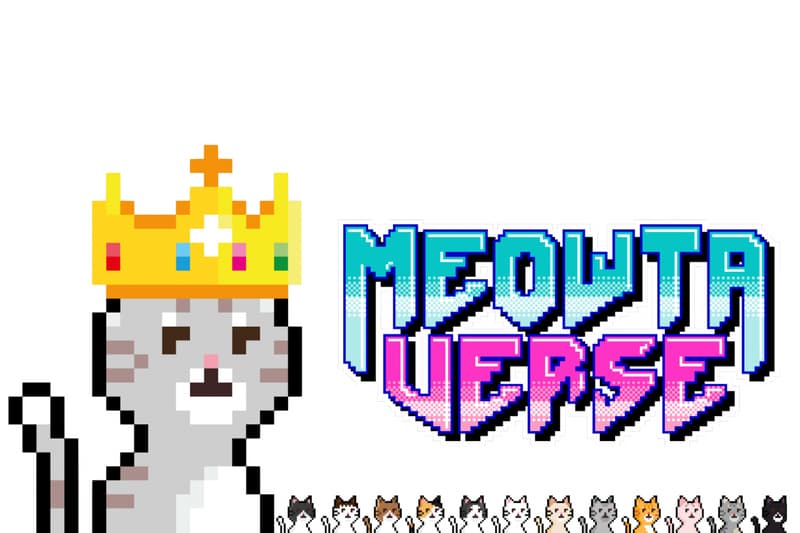 Meowtaverse 全新慈善企劃「SPREAD MEOWTA, SAVE MEOWTA」