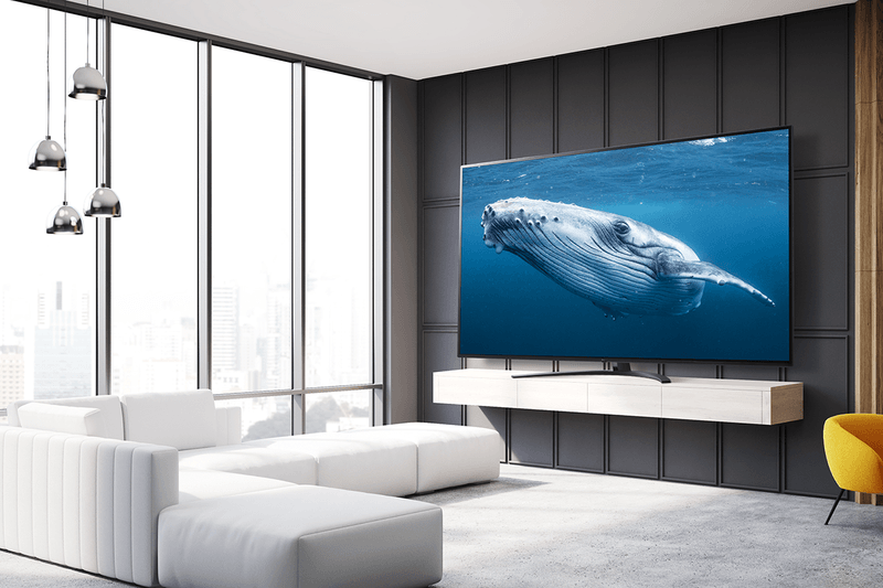 LG OLED、LG QNED Mini LED 大尺寸電視