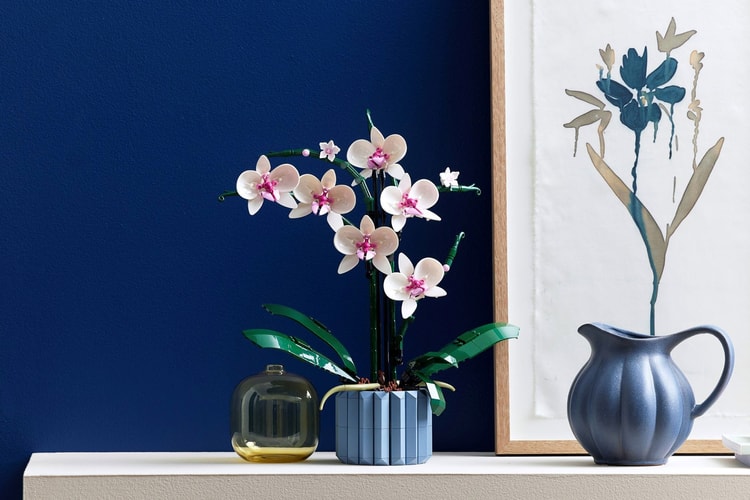 LEGO 正式推出「蘭花 Orchid」、「多肉植物 Succulents」積木套組