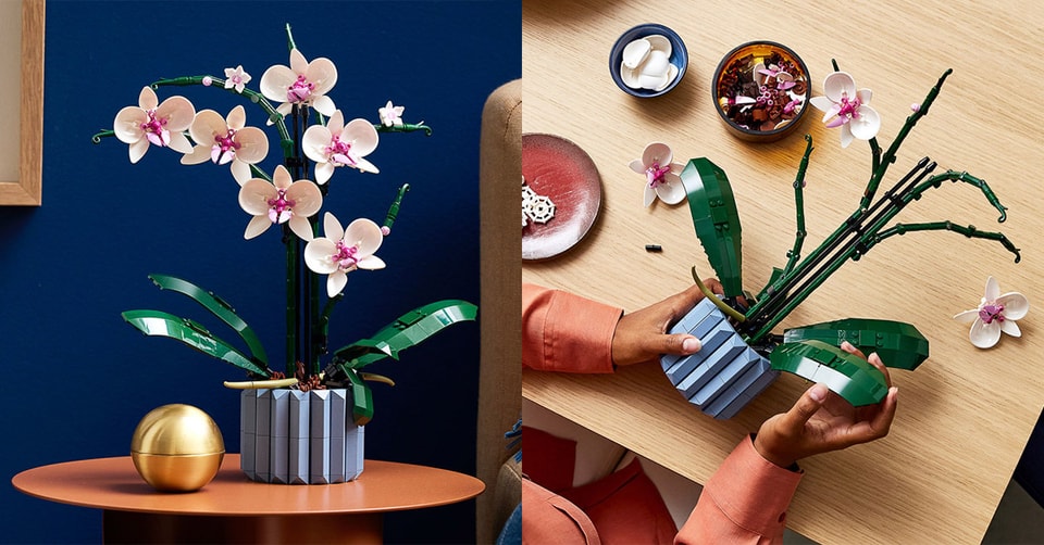 Lego 正式推出 蘭花orchid 多肉植物succulents 積木套組 Hypebeast Lego 正式推出 蘭花orchid 多肉植物succulents 積木套組 Hypebeast