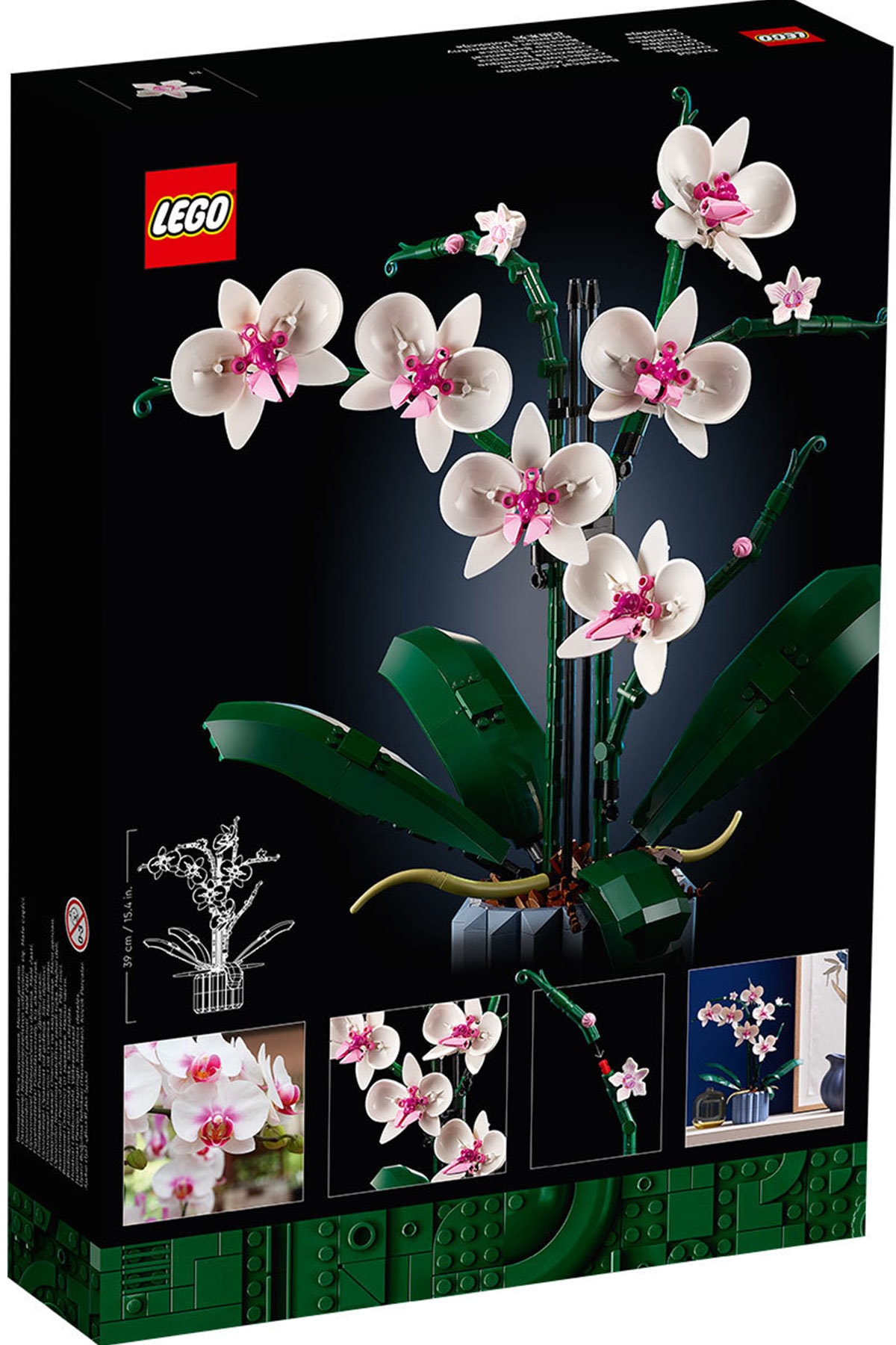LEGO 正式推出「蘭花 Orchid」、「多肉植物 Succulents」積木套組