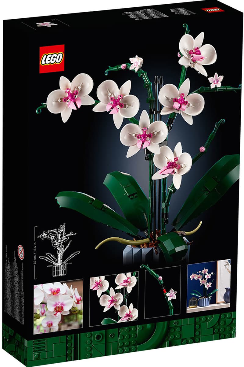 Lego 正式推出 蘭花orchid 多肉植物succulents 積木套組 Hypebeast Lego 正式推出 蘭花orchid 多肉植物succulents 積木套組 Hypebeast