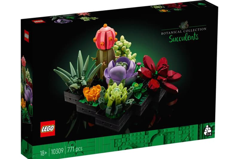 LEGO 正式推出「蘭花 Orchid」、「多肉植物 Succulents」積木套組