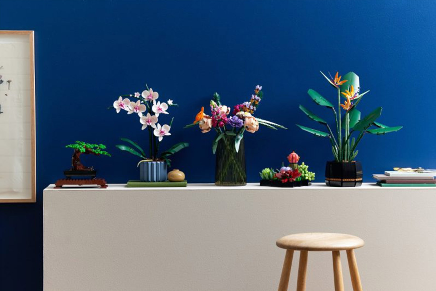 LEGO 正式推出「蘭花 Orchid」、「多肉植物 Succulents」積木套組