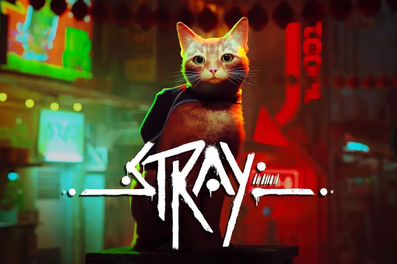 貓咪模擬遊戲《STRAY》全新預告、上線日期正式公開