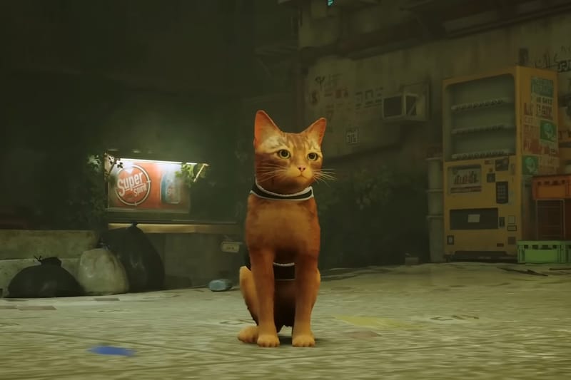 IGN 正式發佈貓咪模擬遊戲《STRAY》玩法介紹影片
