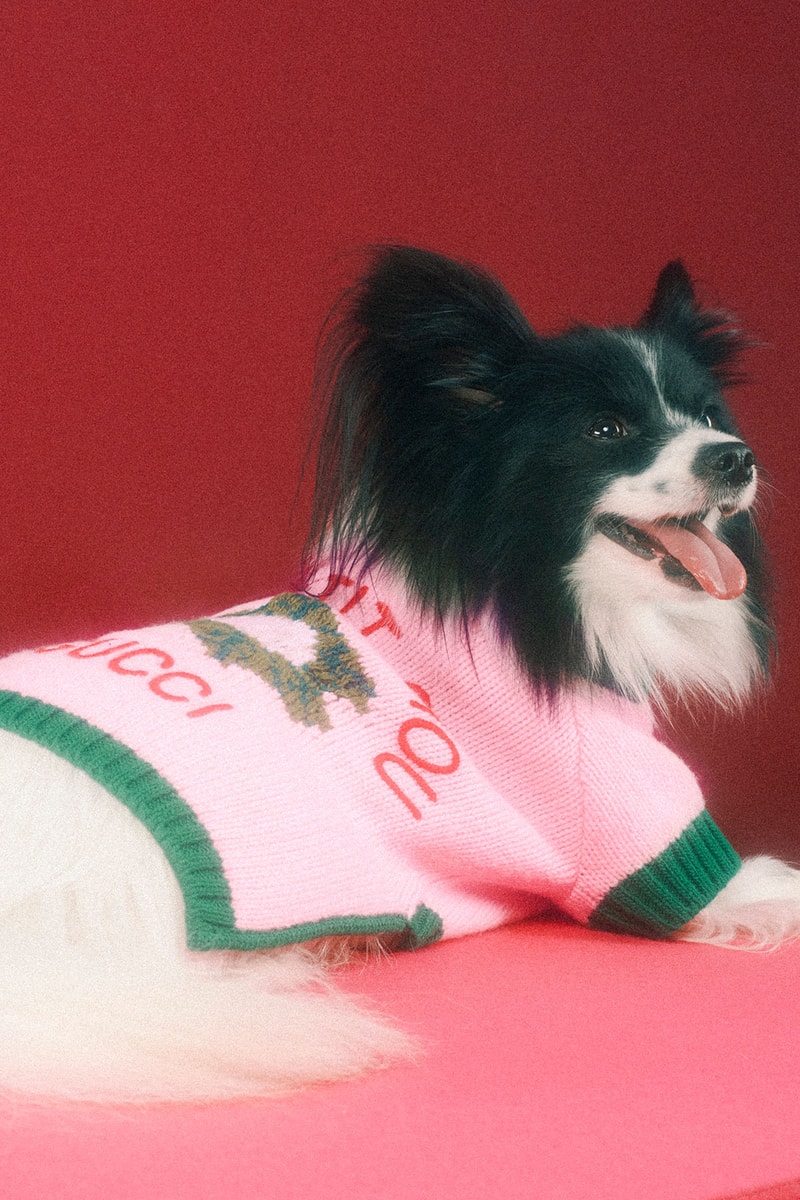 Gucci 正式發佈最新寵物用品系列「PET COLLECTION」