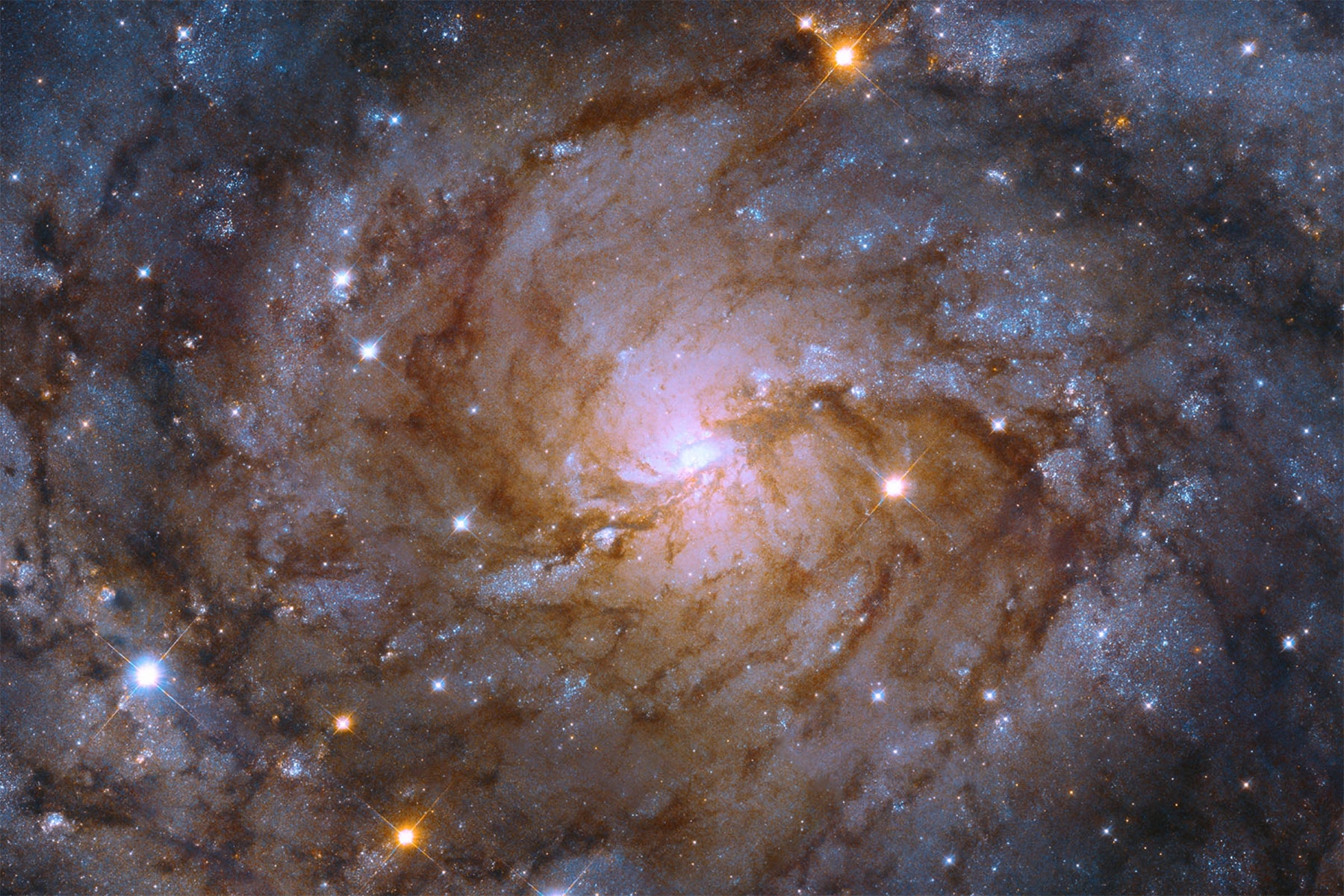 NASA 哈伯太空望遠鏡成功捕捉「隱藏星系」IC 342