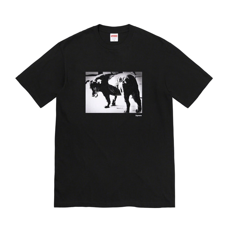 Supreme 2022 夏季 T-Shirt 系列正式登場