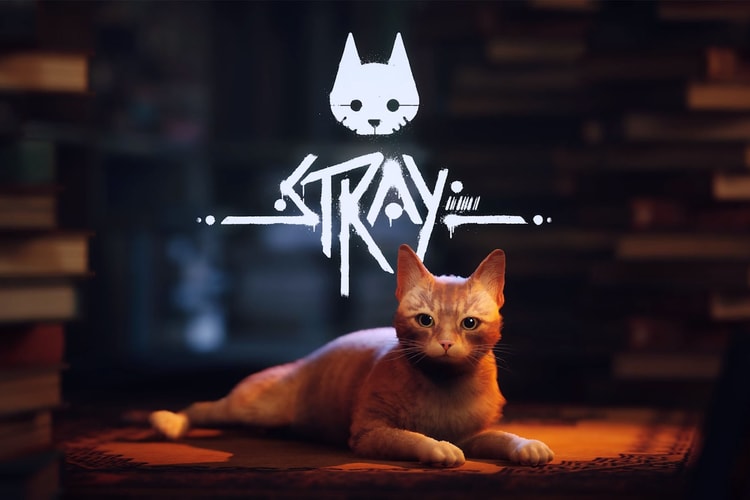 IGN 正式公開貓咪模擬遊戲《STRAY》開場 16 分鐘實機演示