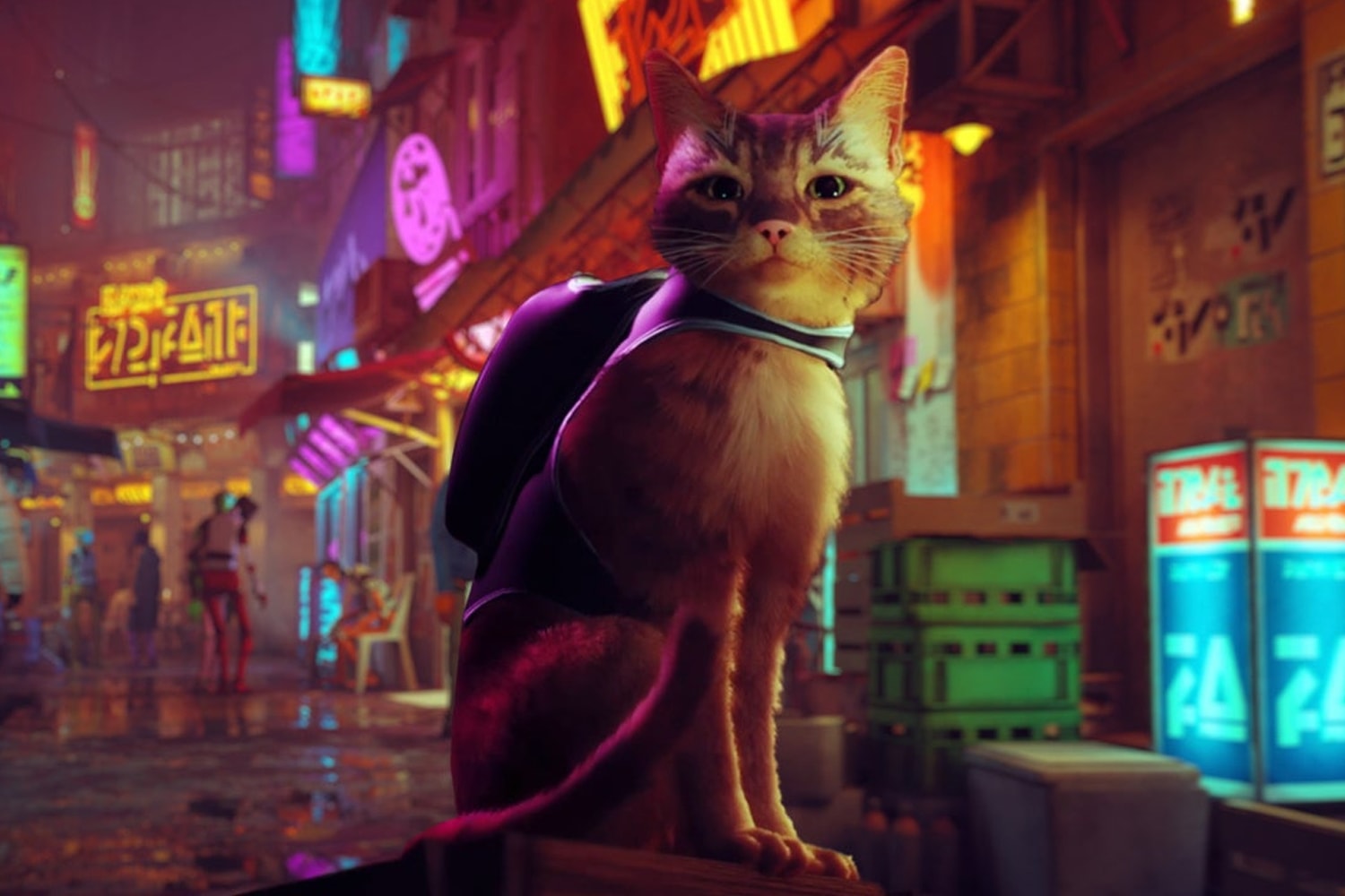 貓咪模擬遊戲《STRAY》正式登陸 PS4、PS5 及 PC 等平台