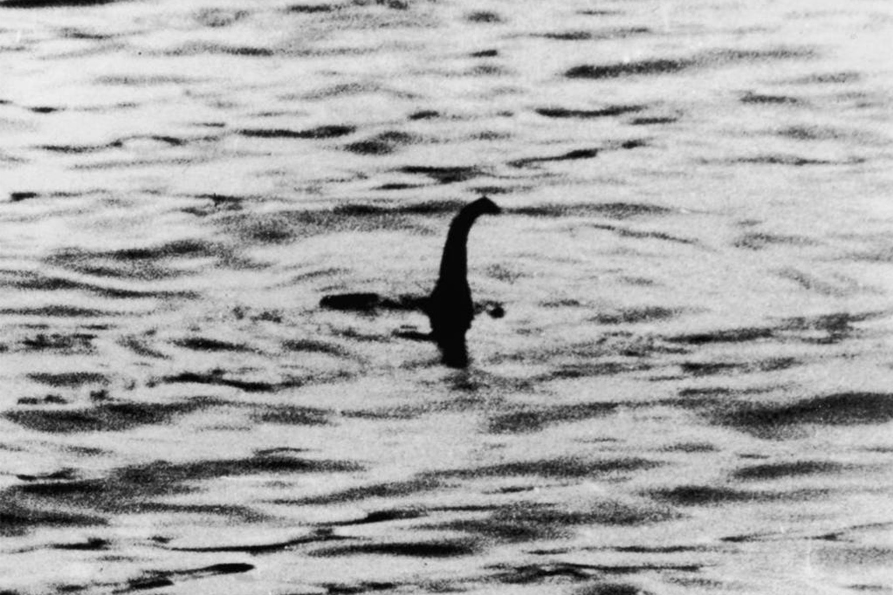 英國巴斯大學最新考古報告間接證實神秘生物「尼斯湖水怪」存在