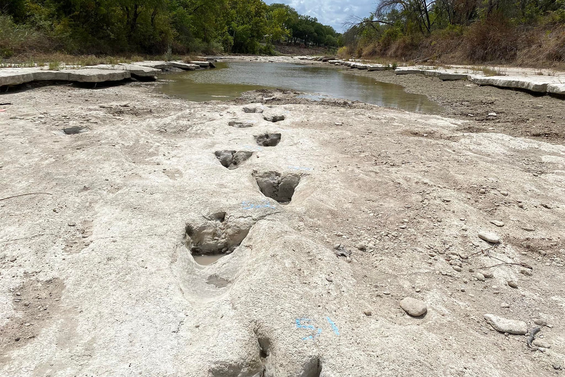 德州 Dinosaur Valley State Park 因河流乾涸意外發現 1.13 億年歷史「恐龍足跡」