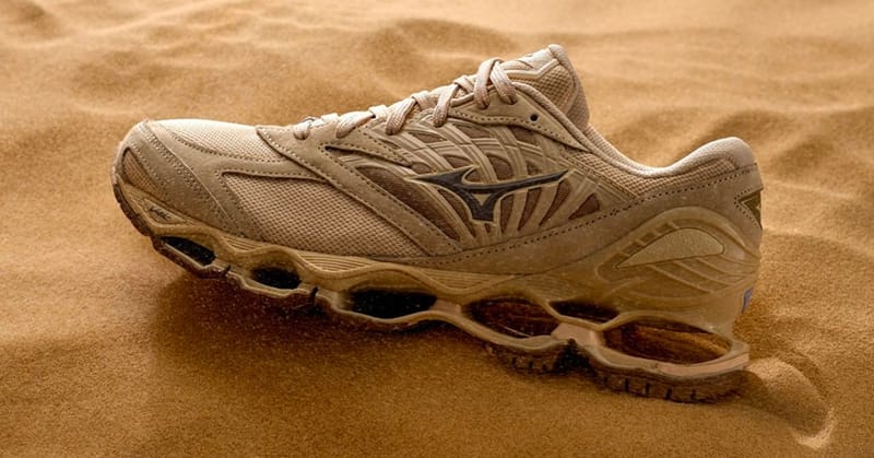 mizuno desert meditation