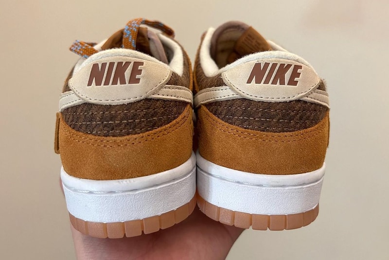 Nike Dunk Low 全新配色「Teddy Bear」率先曝光 