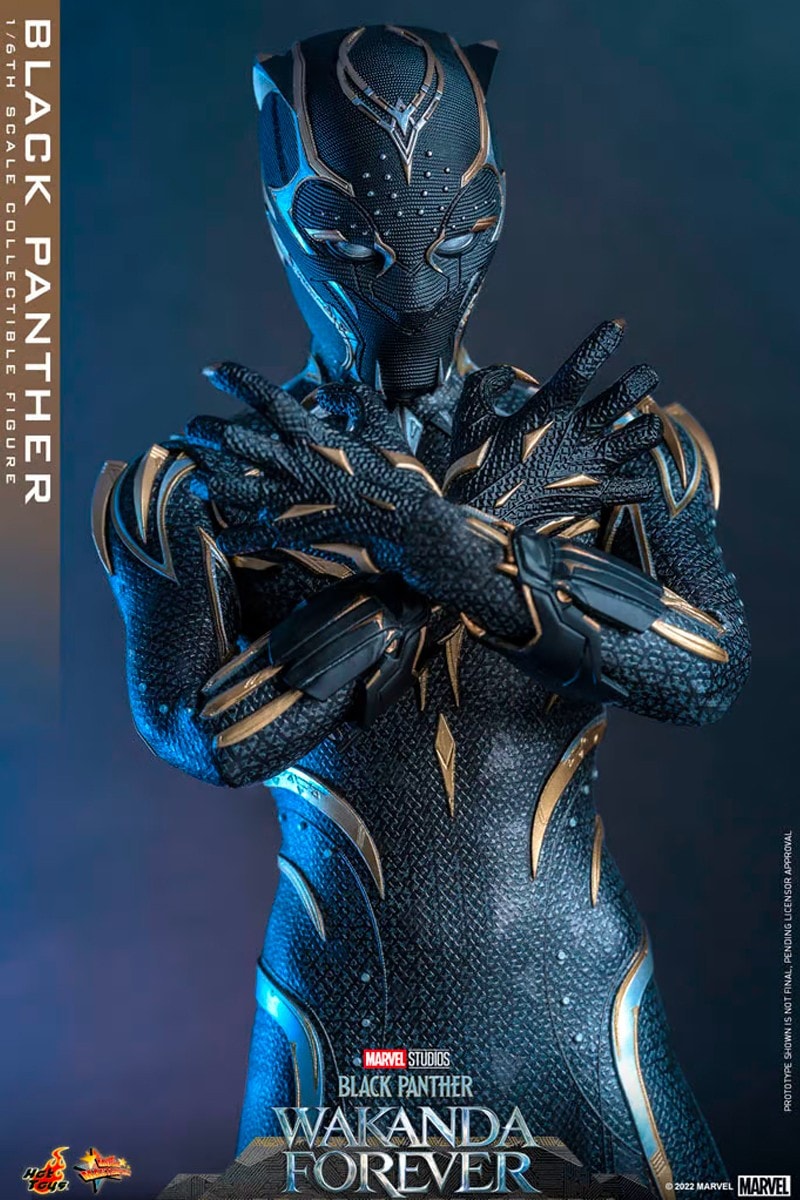 Hot Toys《黑豹 2：瓦干達萬歲》1:6 比例「新任黑豹」雕塑模型正式登場