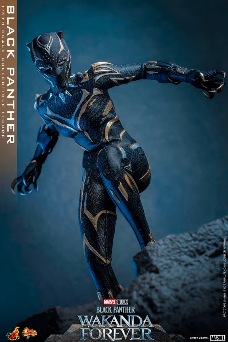 Hot Toys《黑豹 2：瓦干達萬歲》1:6 比例「新任黑豹」雕塑模型正式登場