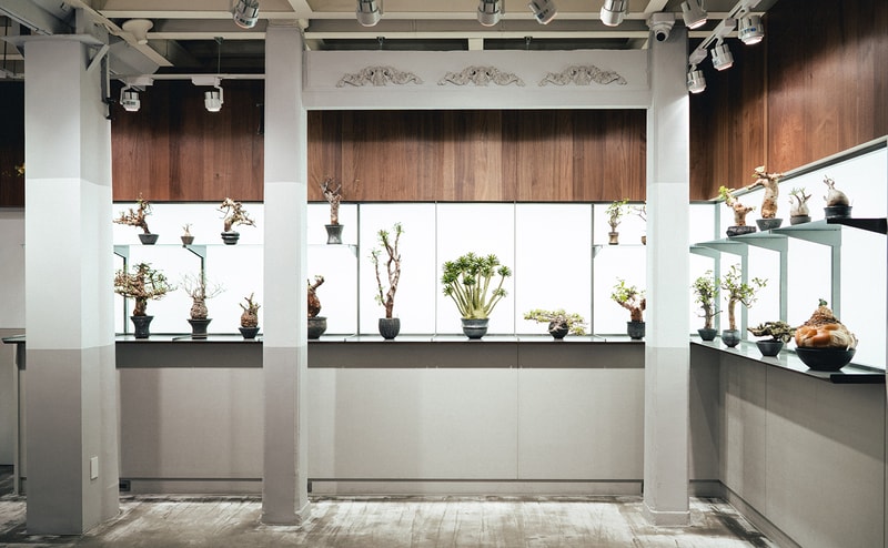 0343 CONSERVATORY 正式進軍台南開設首間南部旗艦店舖