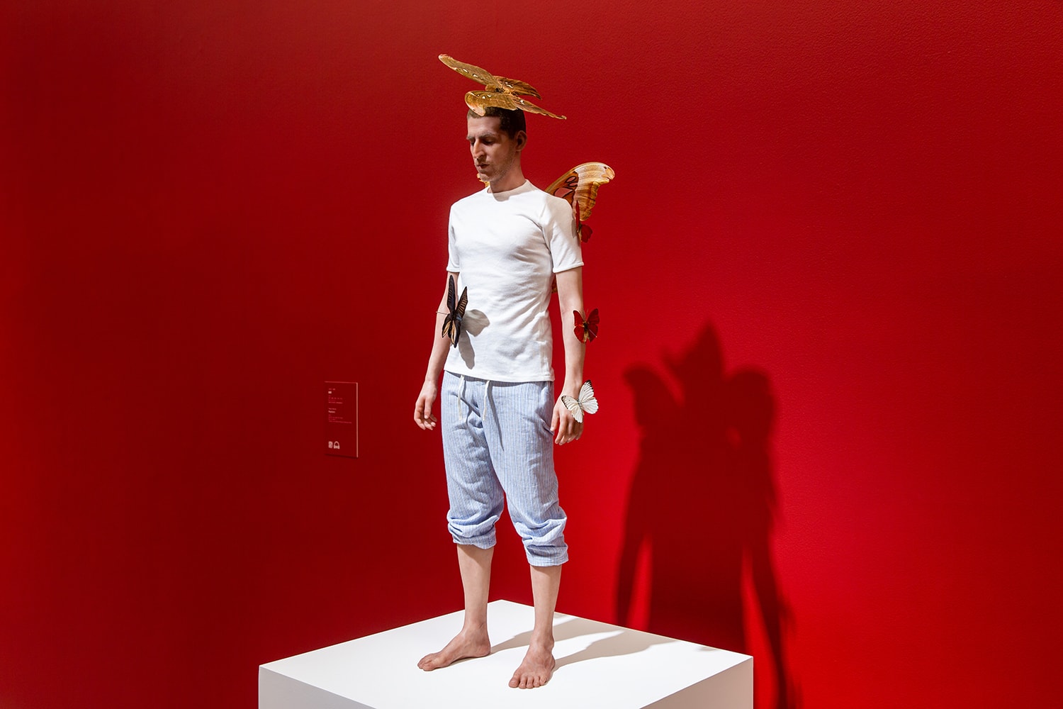 演繹後人類時代的肉身幻想！《未來身體：超自然雕塑》現正於北美館展出