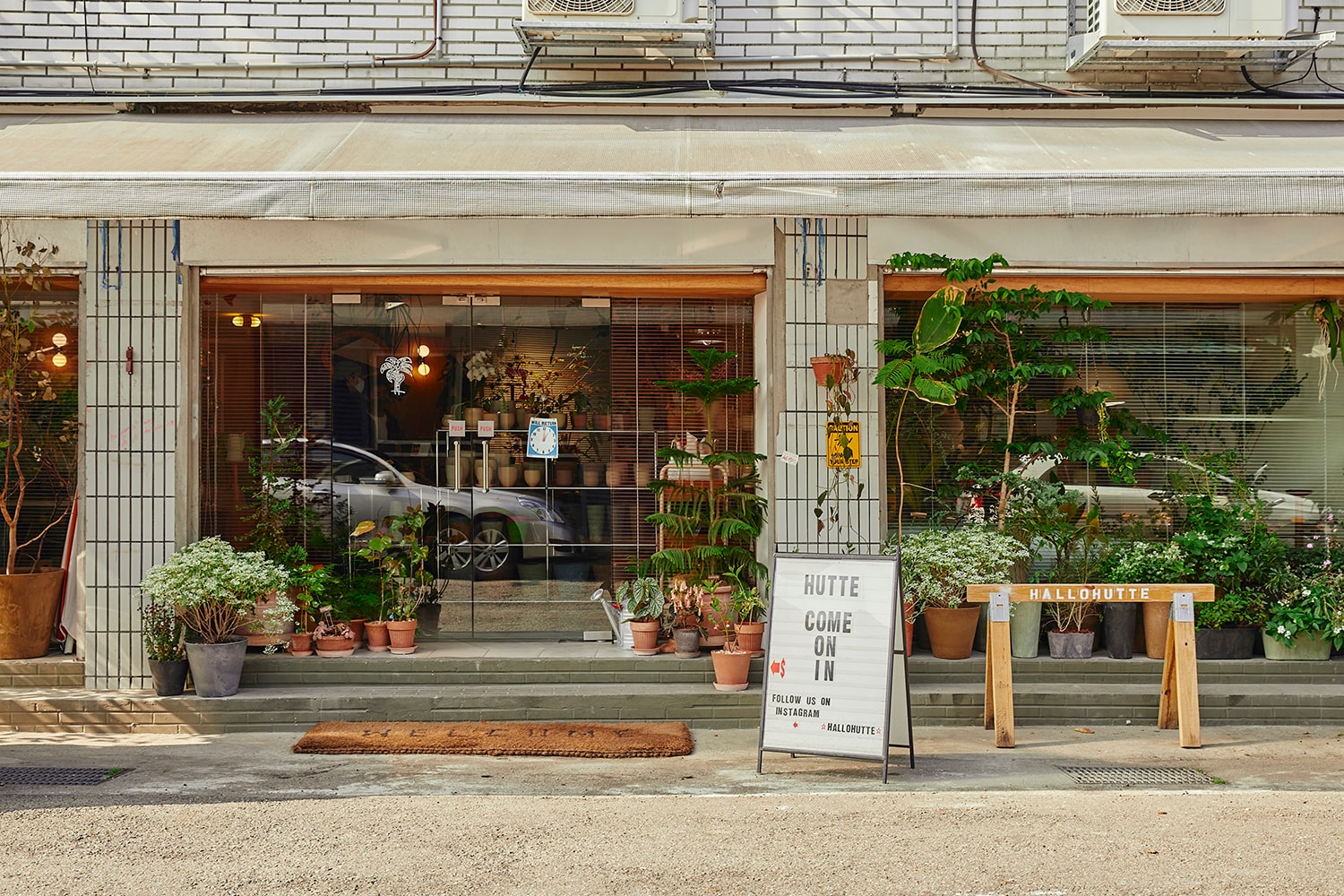 走訪港台兩地潮流植物店 | Hypebeast City Guide