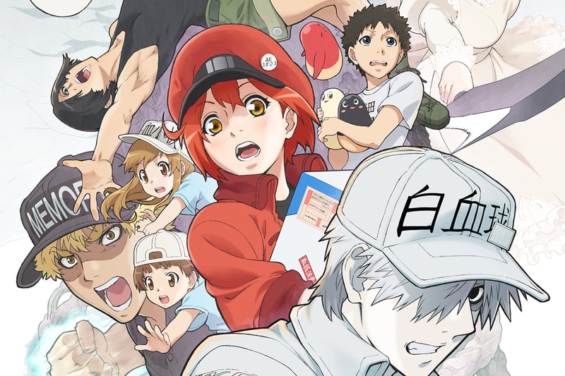 日本人氣動漫《工作細胞 Cells at Work!》宣布推出真人版改編電影