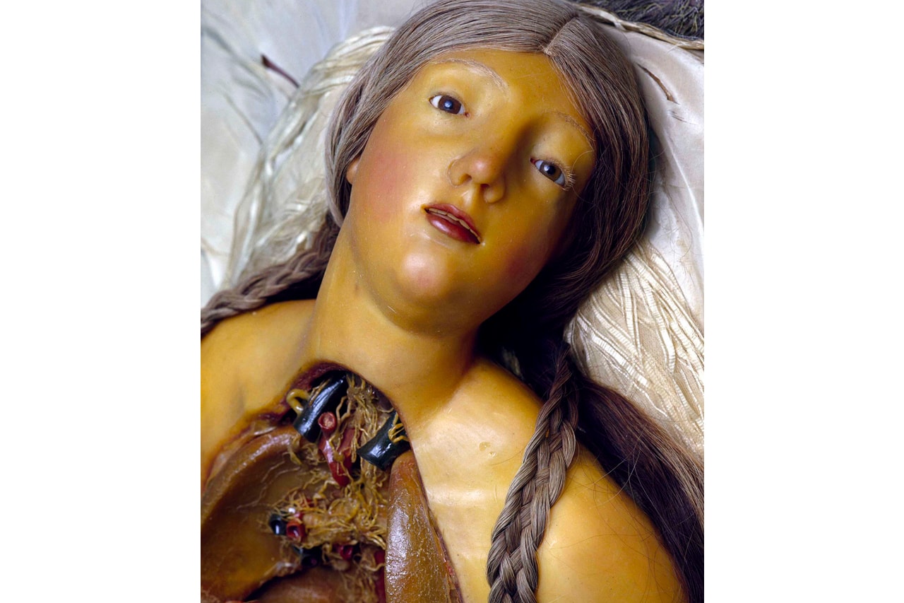 Fondazione Prada 攜手知名恐怖片導演 David Cronenberg 舉辦全新展覽《Cere Anatomiche》