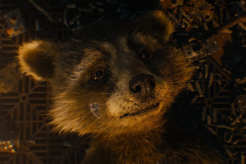 Marvel 即將上映英雄大片《Guardians of the Galaxy Vol. 3》釋出「火箭浣熊」童年片段