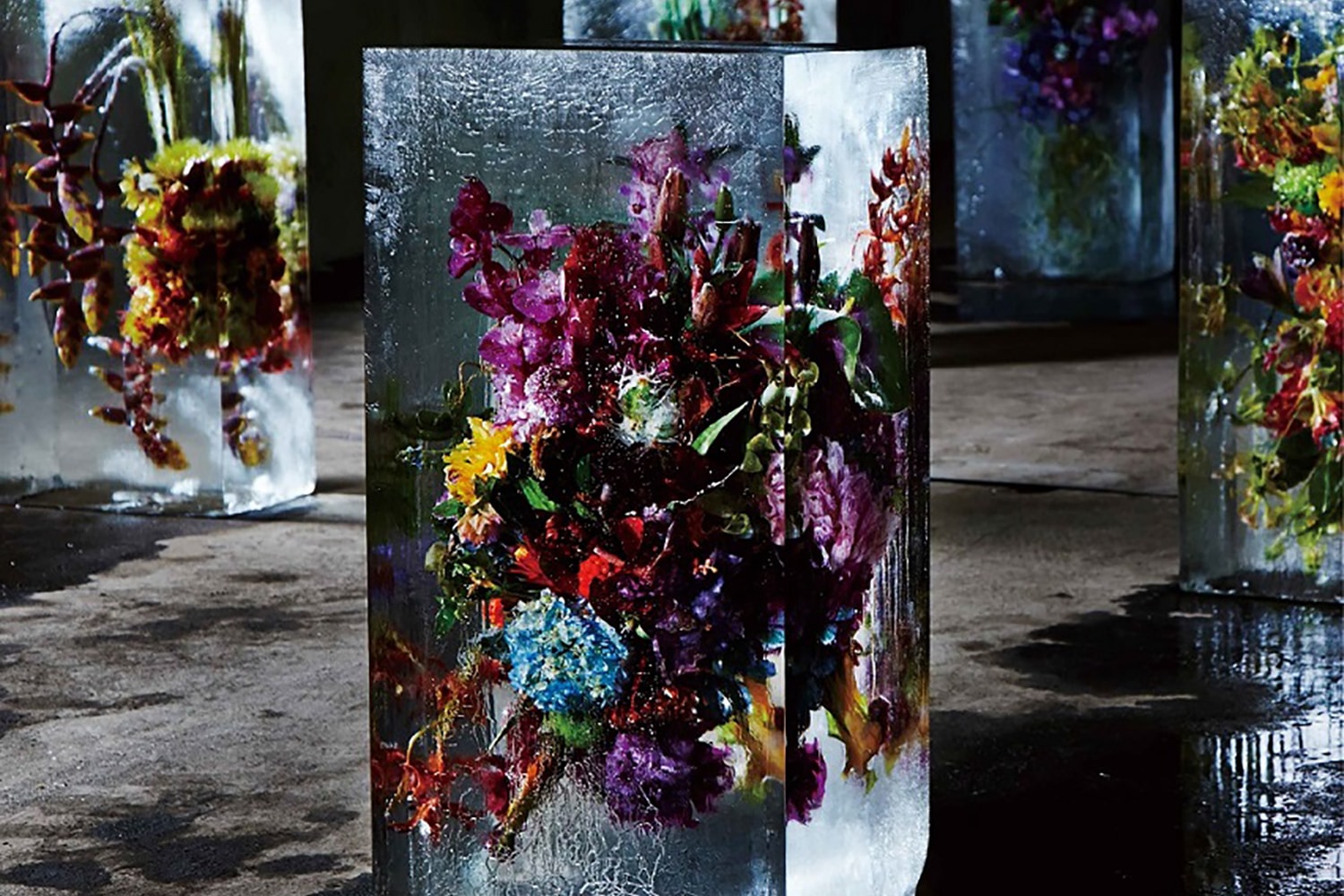 日本花卉藝術家 Azuma Makoto 台灣首次個展《東信展：繁花．時敘》正式登場