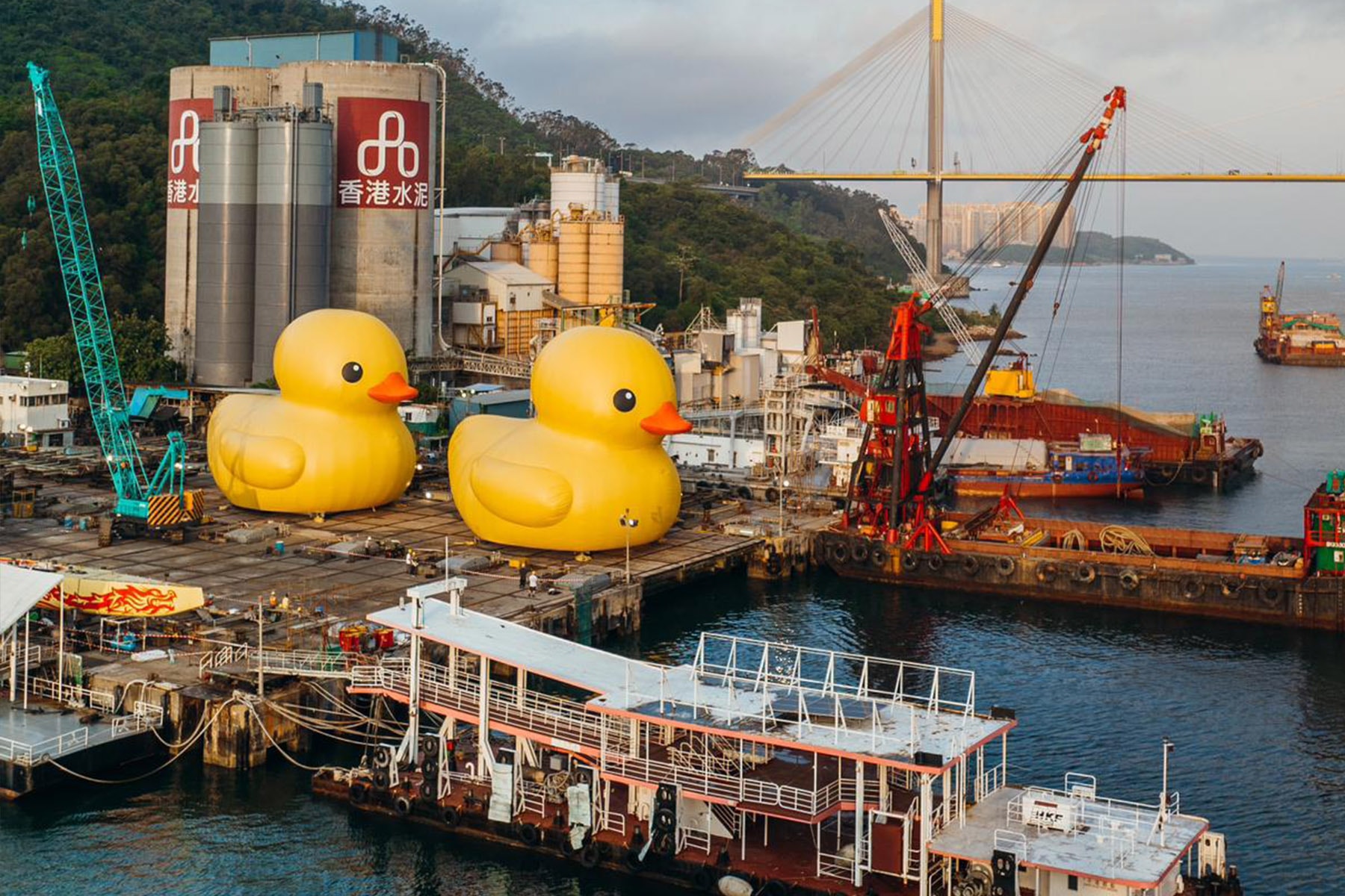 荷蘭藝術家 Florentijn Hofman 創作「巨型黃色小鴨」現身香港青衣海域