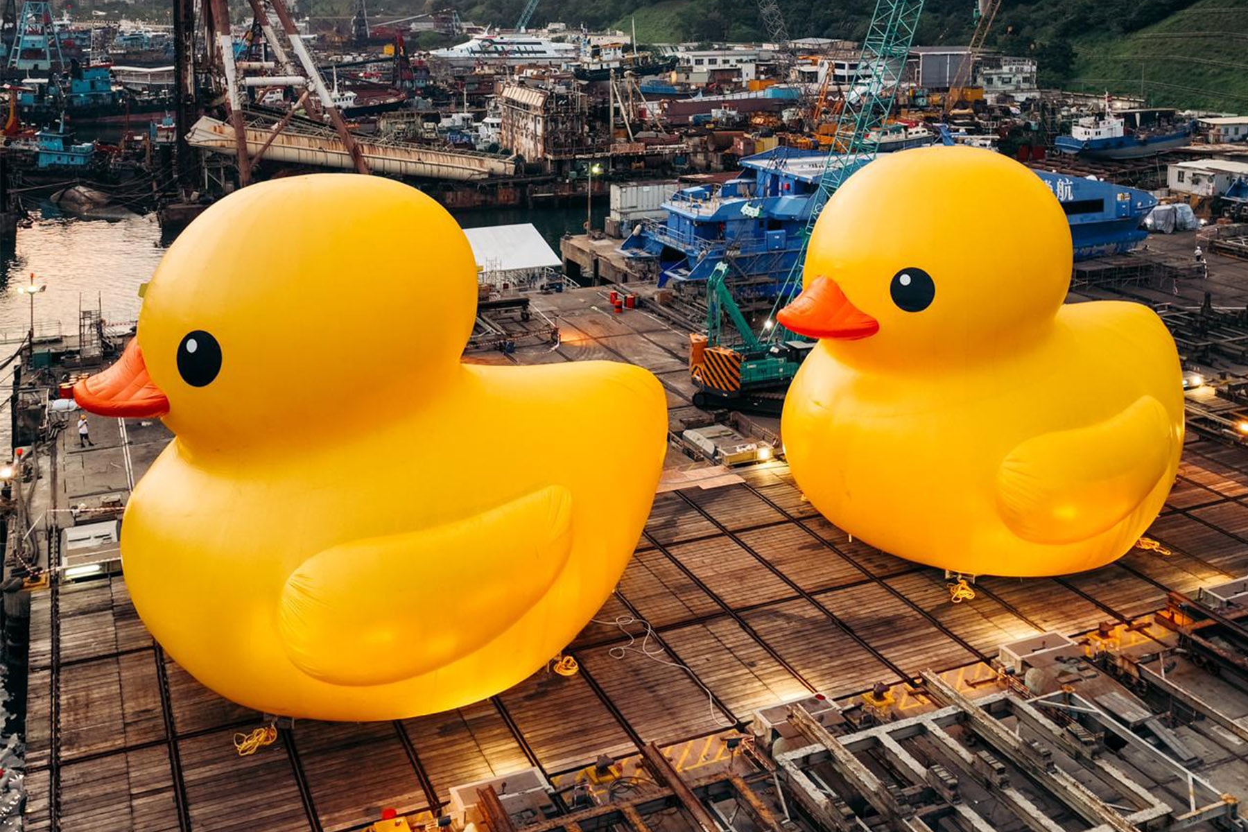 荷蘭藝術家 Florentijn Hofman 創作「巨型黃色小鴨」現身香港青衣海域
