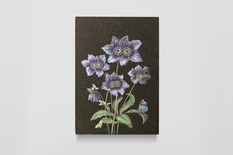 法國觀念藝術家 Laurent Grasso 台灣首次個展《TIME LEAVES》正式登陸 TAO ART