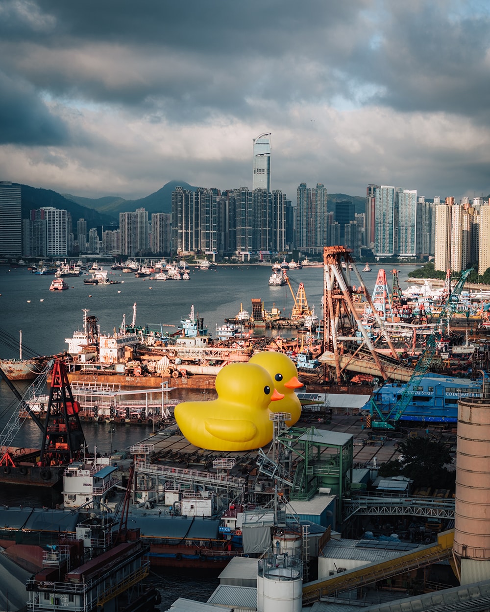 荷蘭藝術家 Florentijn Hofman 創作《橡皮鴨二重暢》即將登陸香港維多利亞港
